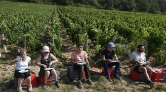 Bourgogne: les Pouilly-Fuissé veulent avoir leurs premiers crus