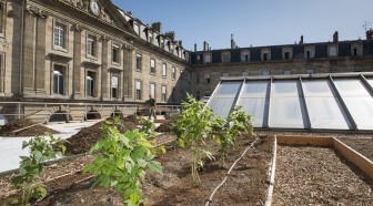 Des fraisiers et des salades s'invitent sur le toit de l'Hôtel de Ville à Paris