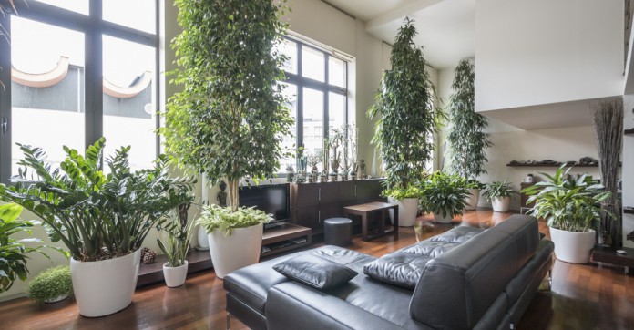 EN IMAGES. A vendre: un loft en duplex dans une ancienne manufacture