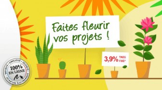 Crédit renouvelable : Banque Casino fait fleurir vos projets