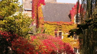 VIE PRATIQUE: Sur un bâtiment, une réparation peut excéder sa valeur