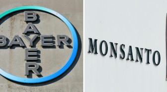 Le titre Bayer plombé en Bourse par la confirmation du jugement sur le Roundup