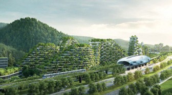 EN IMAGES : la première ville forêt va voir le jour en Chine