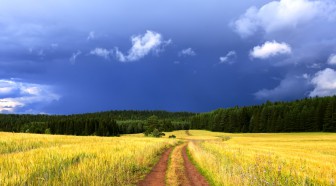 On peut devenir propriétaire gratuitement d'un chemin rural