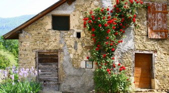 La taxe foncière sur les terrains non bâtis constructibles revue à la baisse