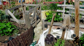 "Paris-culteurs", l'opération pour faire pousser fleurs et légumes dans la capitale