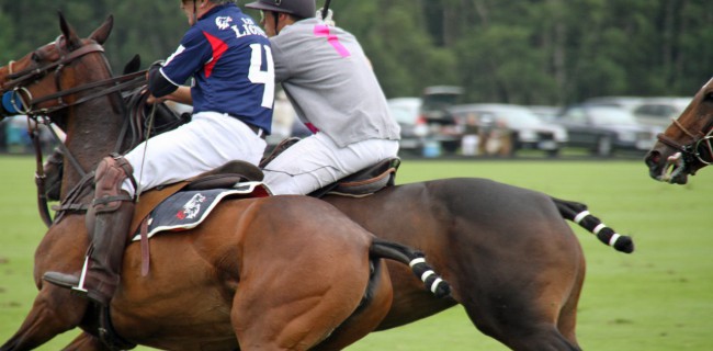 Assurance de prêt immobilier joueur de polo