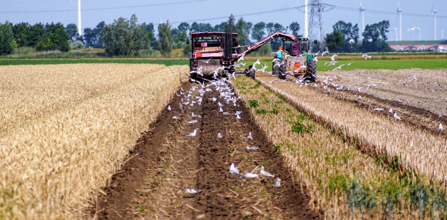 Assurance de prêt immobilier agriculteur