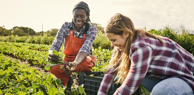 Rachat de crédit agriculteur