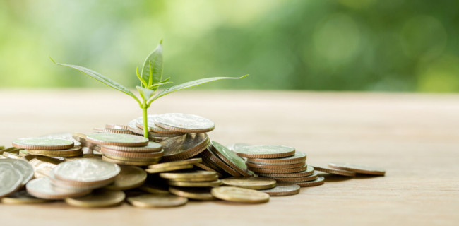 Banque verte : comparatif des meilleures banques écoresponsables en 2026